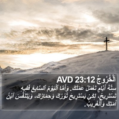 اَلْخُرُوجُ 23:12 AVD Bible Verse Image