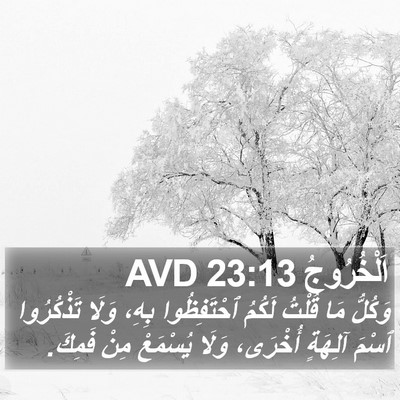 اَلْخُرُوجُ 23:13 AVD Bible Verse Image
