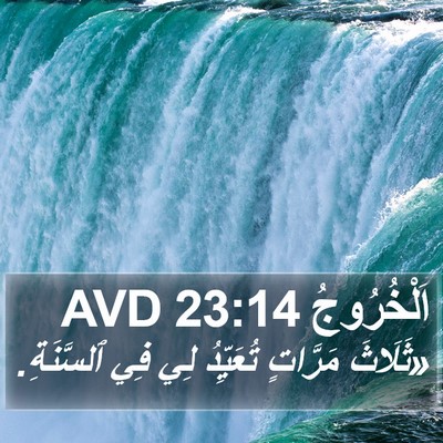 اَلْخُرُوجُ 23:14 AVD Bible Verse Image