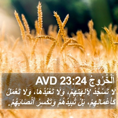 اَلْخُرُوجُ 23:24 AVD Bible Verse Image