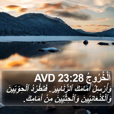 اَلْخُرُوجُ 23:28 AVD Bible Verse Image