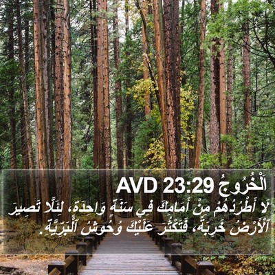 اَلْخُرُوجُ 23:29 AVD Bible Verse Image