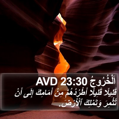 اَلْخُرُوجُ 23:30 AVD Bible Verse Image