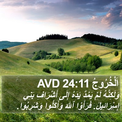 اَلْخُرُوجُ 24:11 AVD Bible Verse Image
