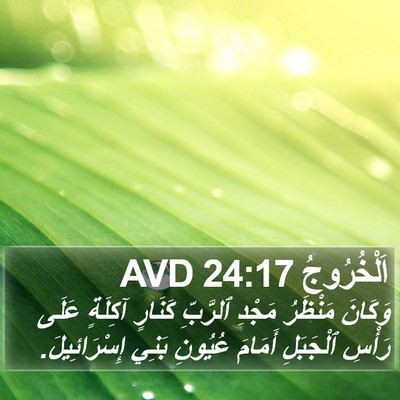 اَلْخُرُوجُ 24:17 AVD Bible Verse Image