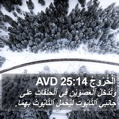 اَلْخُرُوجُ 25:14 AVD Bible Verse Image