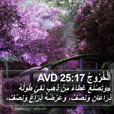 اَلْخُرُوجُ 25:17 AVD Bible Verse Image