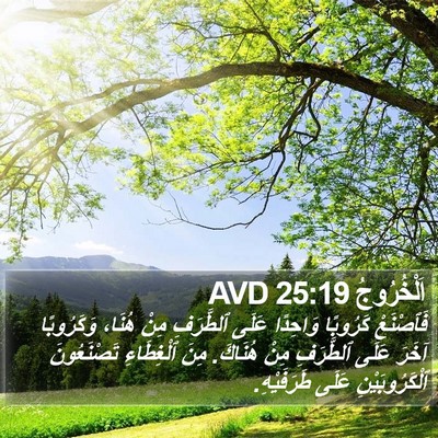 اَلْخُرُوجُ 25:19 AVD Bible Verse Image
