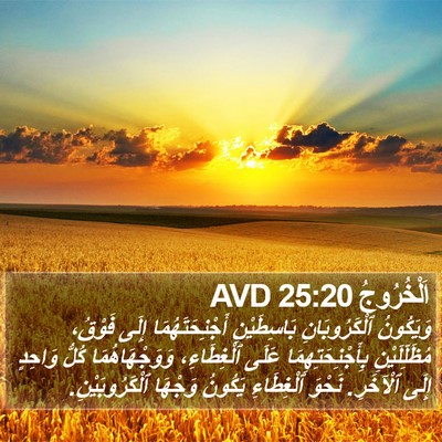 اَلْخُرُوجُ 25:20 AVD Bible Verse Image