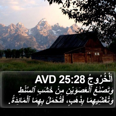 اَلْخُرُوجُ 25:28 AVD Bible Verse Image