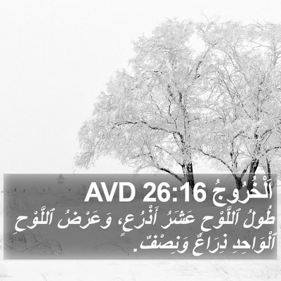 اَلْخُرُوجُ 26:16 AVD Bible Verse Image