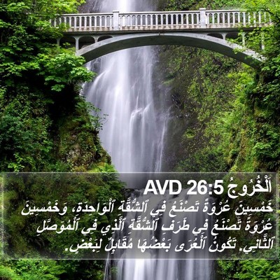 اَلْخُرُوجُ 26:5 AVD Bible Verse Image