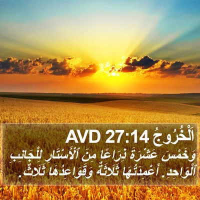 اَلْخُرُوجُ 27:14 AVD Bible Verse Image