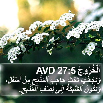 اَلْخُرُوجُ 27:5 AVD Bible Verse Image
