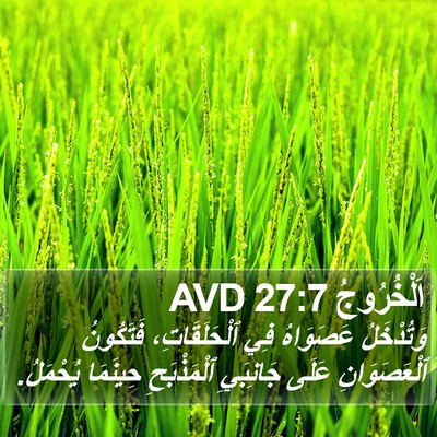 اَلْخُرُوجُ 27:7 AVD Bible Verse Image