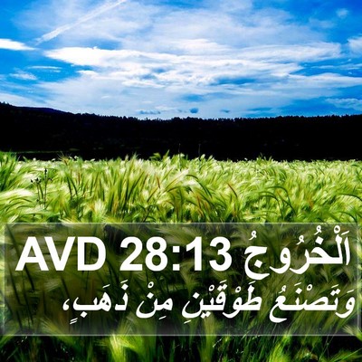 اَلْخُرُوجُ 28:13 AVD Bible Verse Image