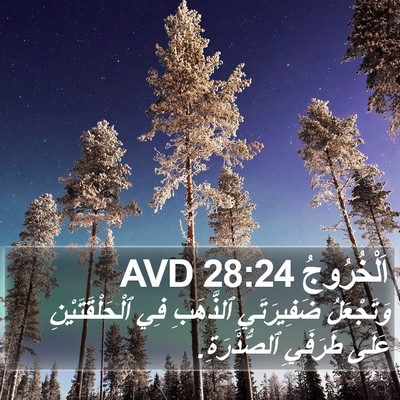 اَلْخُرُوجُ 28:24 AVD Bible Verse Image