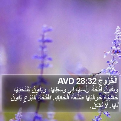 اَلْخُرُوجُ 28:32 AVD Bible Verse Image