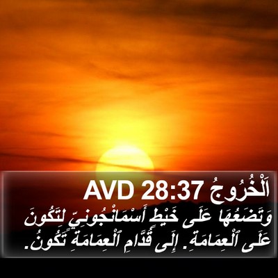 اَلْخُرُوجُ 28:37 AVD Bible Verse Image