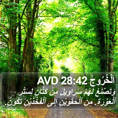 اَلْخُرُوجُ 28:42 AVD Bible Verse Image