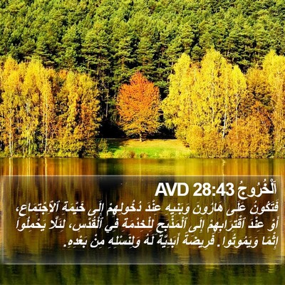 اَلْخُرُوجُ 28:43 AVD Bible Verse Image