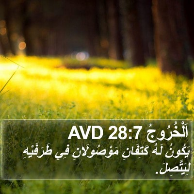 اَلْخُرُوجُ 28:7 AVD Bible Verse Image