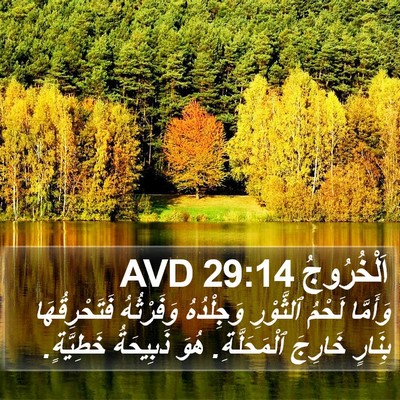 اَلْخُرُوجُ 29:14 AVD Bible Verse Image