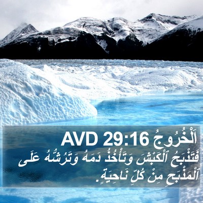 اَلْخُرُوجُ 29:16 AVD Bible Verse Image