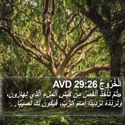 اَلْخُرُوجُ 29:26 AVD Bible Verse Image
