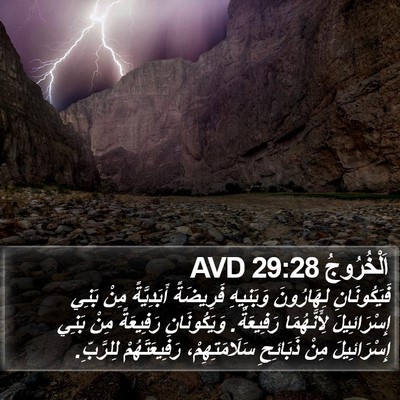 اَلْخُرُوجُ 29:28 AVD Bible Verse Image
