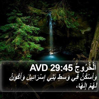 اَلْخُرُوجُ 29:45 AVD Bible Verse Image