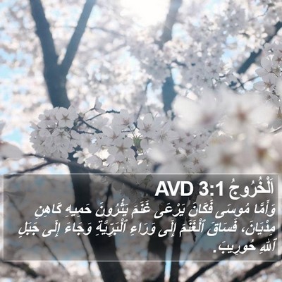 اَلْخُرُوجُ 3:1 AVD Bible Verse Image