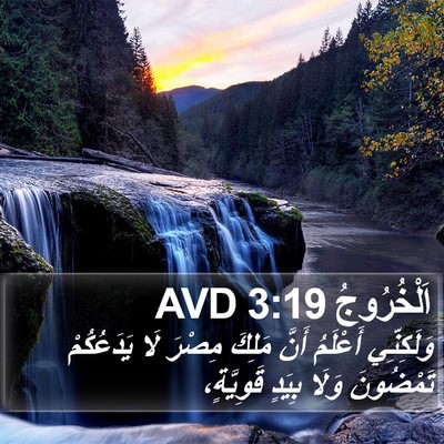 اَلْخُرُوجُ 3:19 AVD Bible Verse Image