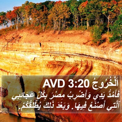 اَلْخُرُوجُ 3:20 AVD Bible Verse Image