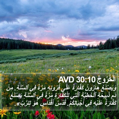 اَلْخُرُوجُ 30:10 AVD Bible Verse Image
