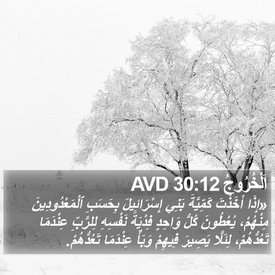 اَلْخُرُوجُ 30:12 AVD Bible Verse Image