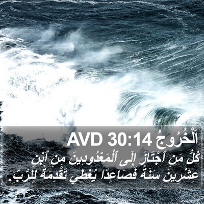 اَلْخُرُوجُ 30:14 AVD Bible Verse Image