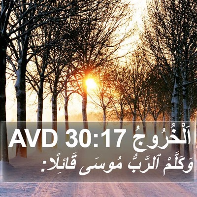 اَلْخُرُوجُ 30:17 AVD Bible Verse Image