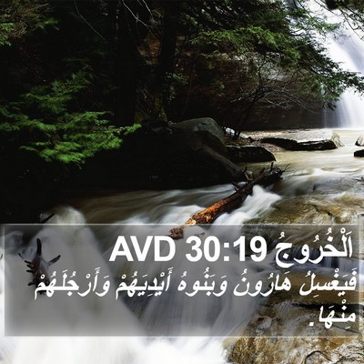 اَلْخُرُوجُ 30:19 AVD Bible Verse Image