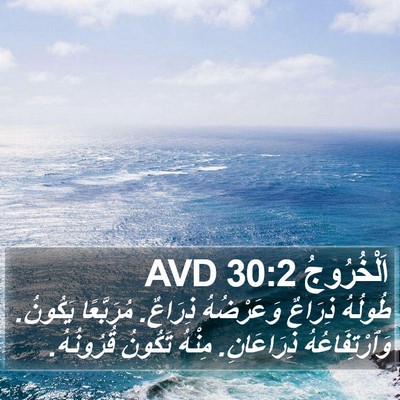 اَلْخُرُوجُ 30:2 AVD Bible Verse Image