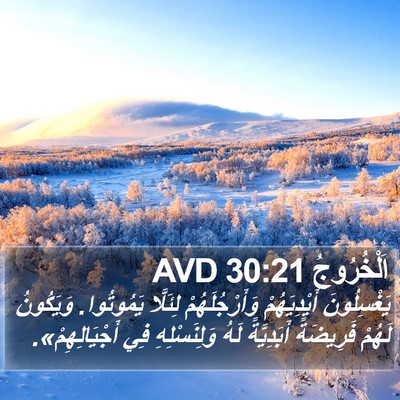 اَلْخُرُوجُ 30:21 AVD Bible Verse Image