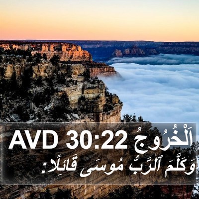 اَلْخُرُوجُ 30:22 AVD Bible Verse Image