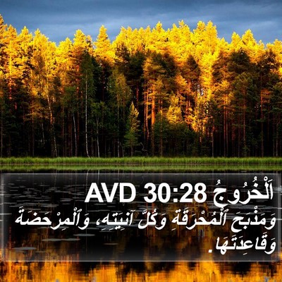 اَلْخُرُوجُ 30:28 AVD Bible Verse Image