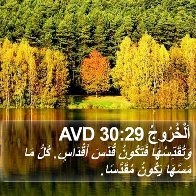 اَلْخُرُوجُ 30:29 AVD Bible Verse Image