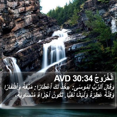 اَلْخُرُوجُ 30:34 AVD Bible Verse Image