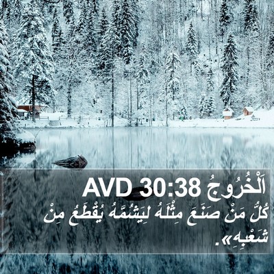 اَلْخُرُوجُ 30:38 AVD Bible Verse Image