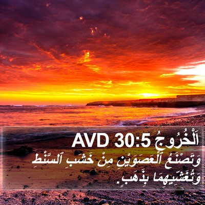 اَلْخُرُوجُ 30:5 AVD Bible Verse Image