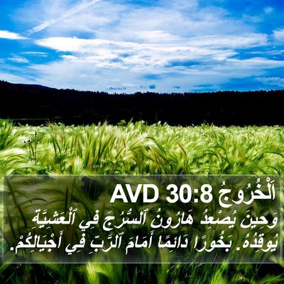 اَلْخُرُوجُ 30:8 AVD Bible Verse Image