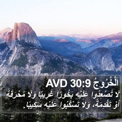 اَلْخُرُوجُ 30:9 AVD Bible Verse Image