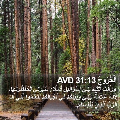 اَلْخُرُوجُ 31:13 AVD Bible Verse Image